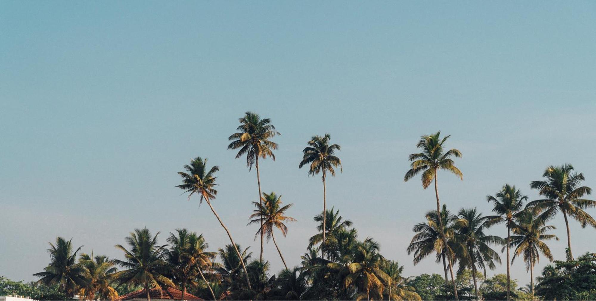 Lucky'S Surf Camp Bed and Breakfast Weligama Buitenkant foto