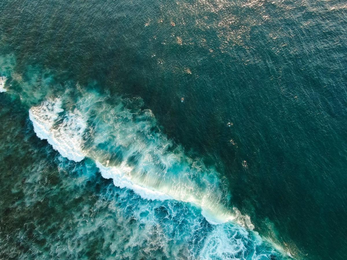 Lucky'S Surf Camp Bed and Breakfast Weligama Buitenkant foto